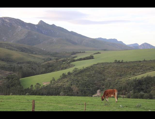 814HA FARM FOR SALE IN RIVERSDALE RURAL